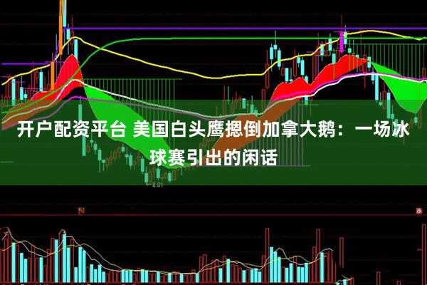 开户配资平台 美国白头鹰摁倒加拿大鹅：一场冰球赛引出的闲话