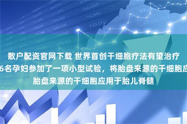 散户配资官网下载 世界首创干细胞疗法有望治疗子宫内脊柱裂 6名孕妇参加了一项小型试验，将胎盘来源的干细胞应用于胎儿脊髓